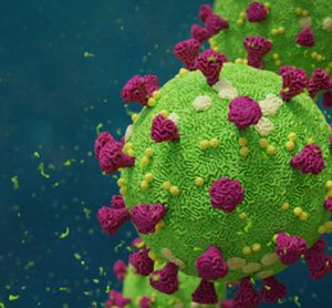 coronavirus particle in green and purple