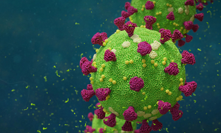 coronavirus particle in green and purple