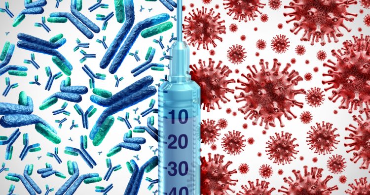 Blue antibodies on the left, red coronavirus particles on the right with the two split by a syringe - idea of COVID-19 vaccination generating antibodies to combat SARS-CoV-2 virus