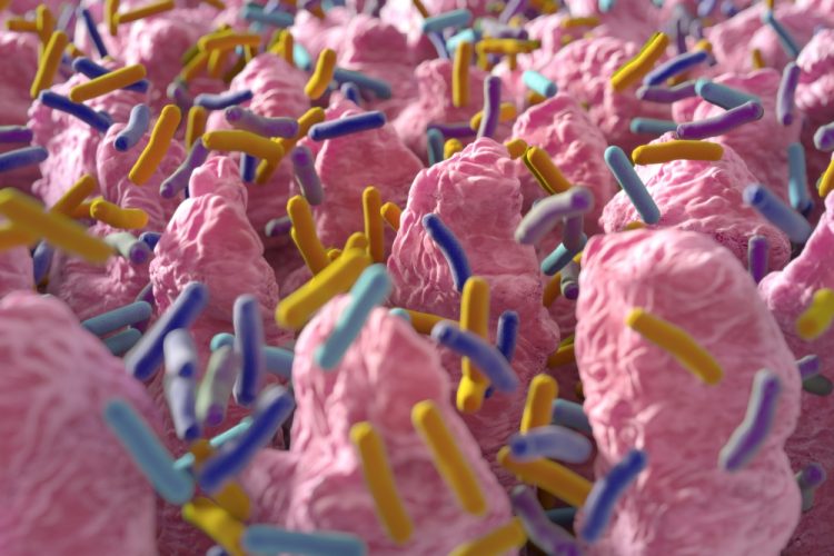 3D illustration of the intestinal villi surrounded by different colours of bacteria, idea of the intestinal microbiome