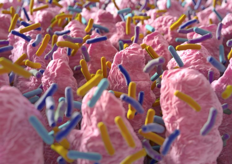 3D illustration of the intestinal villi surrounded by different colours of bacteria, idea of the intestinal microbiome