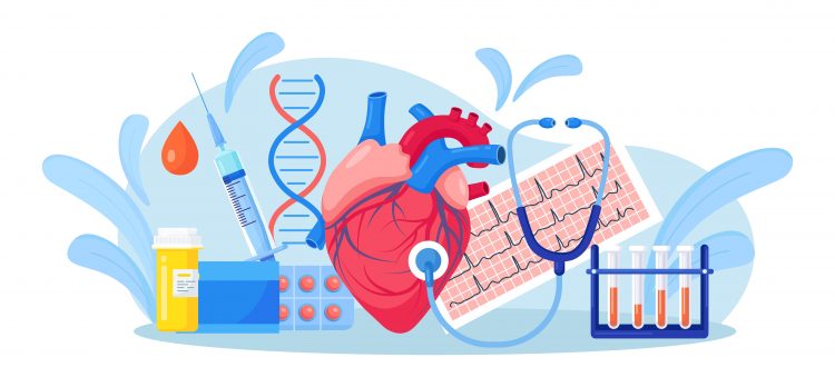 Concept of cardiology or cardiovascular disease drug development, with Human heart with stethoscope, ECG cardiogram, blood test tube, medicines