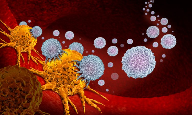 Concept of cancer immunotherapy - cartoon of white immune cells attacking a yellow cancerous tumour on a red background