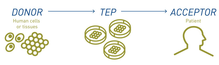 Challenges of ATMPs in clinical research