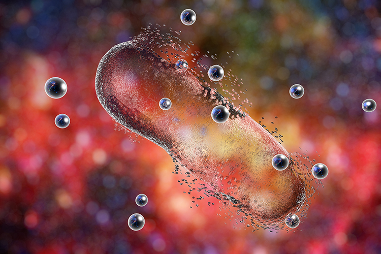 3D illustration of a bacteria being destroyed by nanoparticles - idea of nanoparticles for use in drug delivery