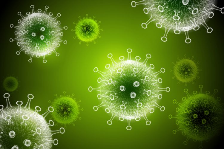 Coronavirus particles in white on a bright green background