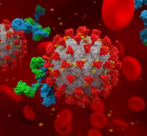 SARS-CoV-2 viruses with blue and green antibodies - idea of COVID-19 antibody therapies