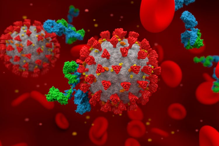 SARS-CoV-2 viruses with blue and green antibodies - idea of COVID-19 antibody therapies