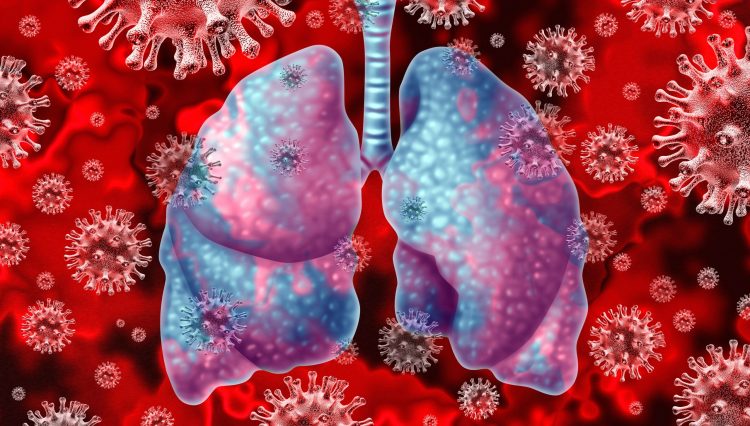 coronavirus particles in grey surrounding lungs