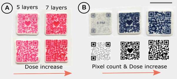 Figure 2: Digital adjustment of the dose by (a) changing the number of imprinted layers, and (b) by changing the colored pixel count via varying the QR code pattern, embedding the image and changing the physical size of DEEP. The scale bar is 2cm.