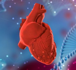 FDA gives RP-A501 first RMAT designation for a cardiac gene therapy