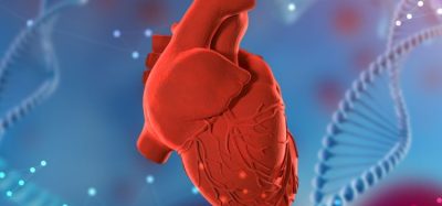FDA gives RP-A501 first RMAT designation for a cardiac gene therapy