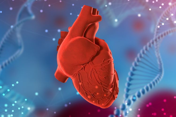 FDA gives RP-A501 first RMAT designation for a cardiac gene therapy