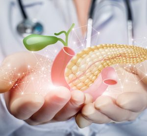 Doctor holding a 3D rendering of a pancreas in their hands - idea of diabetes treatment