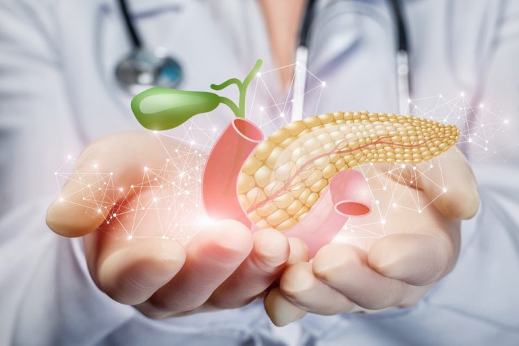 Doctor holding a 3D rendering of a pancreas in their hands - idea of diabetes treatment