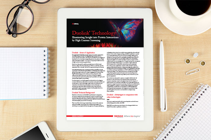 Whitepaper: Duolink® Technology - Illuminating Insight into Protein Interactions by HCS