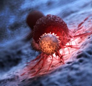 ADC demonstrates meaningful survival data for HER2 cancers