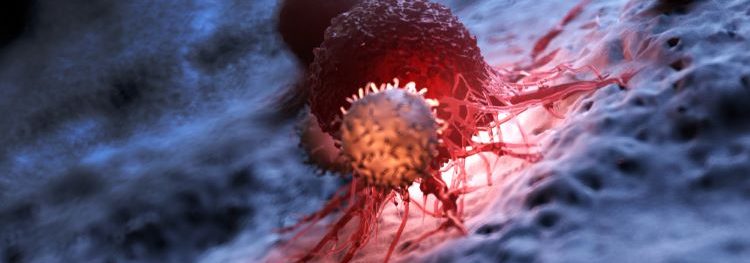 ADC demonstrates meaningful survival data for HER2 cancers