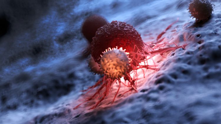 ADC demonstrates meaningful survival data for HER2 cancers
