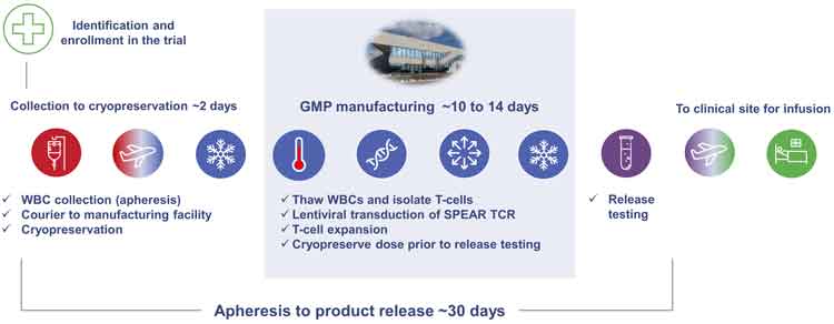 The patient cell journey for AdaptImmune’s autologous SPEAR T-cell therapy products.