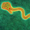 Ebola