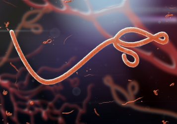 ebola virus (long thin filament) in red on dark blue background