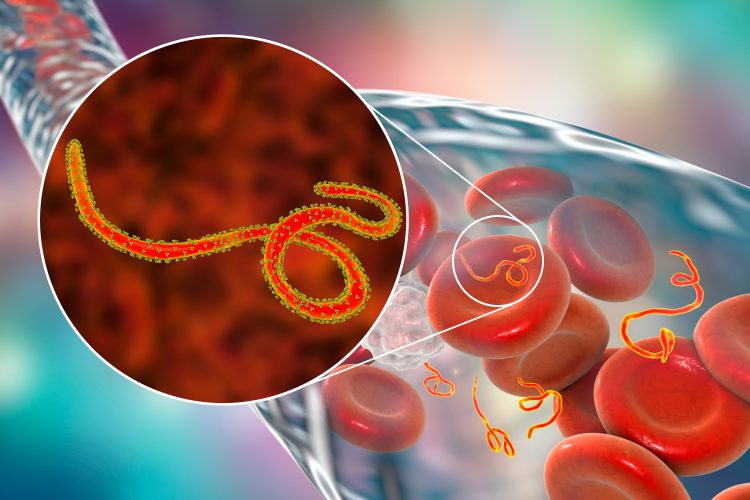 EMA gives positive opinion to investigational Ebola ...