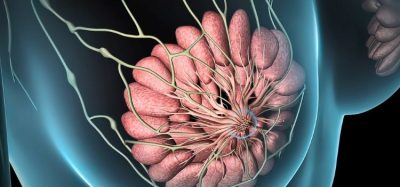 Enhertu approved in EU for HER2-low breast cancer