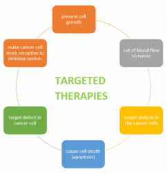 Figure 1: Mode of actions for targeted therapies.