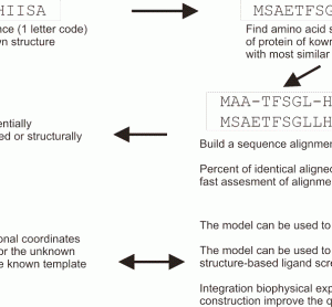 FIGURE 1 Schematic overview of a typical homology modelling procedure that is used to build threedimensional coordinates for a protein of unknown structure