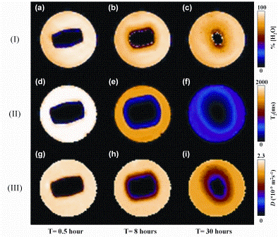 Figure 1: One millimetre thick, slice selective 1H images taken through a pure cylindrical HPMC tablet stood vertically at three different time points. (I)(a-c) 1H spin-density images that reflect water concentration. (II)(d-f) T2-relaxation time images that reflect the interaction of the water with the HPMC polymer. (II)(g-i) water self-diffusion coefficient maps. All images were acquired in less than two minutes in a field of view of 30 x 30 millimetres corresponding to an in-plane pixel resolution of 470 μm