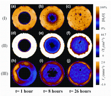 Figure 2: 1 mm thick, slice selective 1H images taken through a Lescol®-XL tablet lying in a horizontal orientation in a USP-IV dissolution apparatus operated at 37.5 degrees Celcius. Dissolution protocol: one hour of SGF dissolution medium followed by a in-line switch to FaSSIF thereafter for the duration of the experiment. Flow rate eight millilitres per minute-1. (I)(a-c) 1H spin-density images. (II)(d-f) T2-relaxation time images. (II)(g-i) Vz velocity images. All images were acquired in less than two minutes in a field of view of 24 x 24 millimetres corresponding to an in-plane pixel resolution of 375 μm