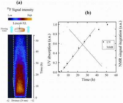 Figure 3: (a) A time series (vertical axis) of one-dimensional 19F spin-density profiles taken from the same Lescol®-XL tablet as that in Figure 2. (b) A comparison of the integrated 19F-profile intensity with the in line UV visible absorption spectra from the same tablet
