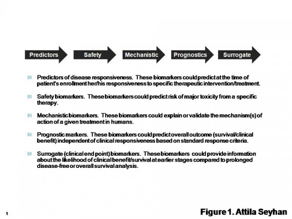 Figure 1 Types of Biomarkers. The International Society for the Biological Therapy of Cancer (iSBTc) in collaboration with the United States Food and Drug Administration (FDA) has developed standardised definitions of biomarkers. Adapted from Butterfield et al1
