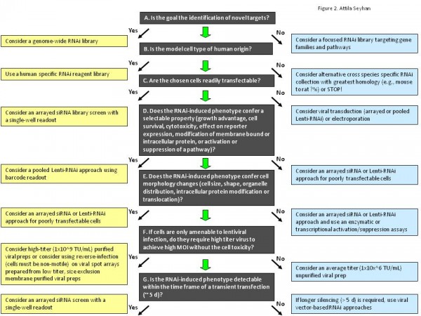 Figure 2 A general guideline for selecting appropriate RNAi screening strategy, experimental format, RNAi reagent libraries in RNAi screens. Technical feasibility is always the first consideration in making the choice of screening method, experimental format and, RNAi reagents. Some key questions and paths to follow when making these choices are depicted. LOF: Loss-of-function. Adapted9.