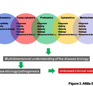 Figure 3 A multi-omics approach for the discovery and validation of biomarkers to probe multidimensional phases of disease biology. A robust biomarker discovery, development and validation effort must bring together multiple ‘omics’ technologies, data types, databases and bioinformatics and biostatics to identify the most predictive biomarkers across DNA, RNA, protein, phenotype and metabolite domains