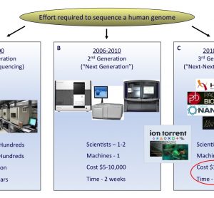 FIGURE 1 The rapid evolution of sequencing technologies. A. First generation Sanger sequencing technology. B. Second ‘Next’ generation massively parallel sequencing technology (454 Sequencing © Roche Diagnostics) C. Third ‘Next-Next’ generation single molecule, real-time sequencing technology. In the coming years, second or third generation technologies may develop to an extent where a human genome can be sequenced for a USD 1,000 in a matter of hours