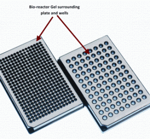 Figure 2: Showing 96 and 384 well micro-plates which have has gel based bioreactor system incorporated within the body of the plate in regions in between and surrounding the wells