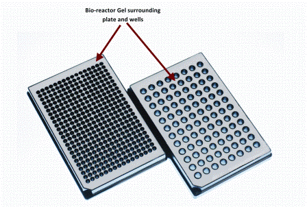 Figure 2: Showing 96 and 384 well micro-plates which have has gel based bioreactor system incorporated within the body of the plate in regions in between and surrounding the wells