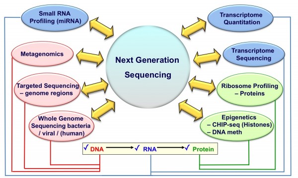FIGURE 3 Applications of Next Generation Sequencing Technologies. Listed are some of the different applications possible on a single NGS sequencing machine which span across the central dogma of molecular biology (‘DNA makes RNA makes protein’)
