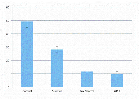 Figure 7: The effect of a collection of siRNA controls on cell number Preliminary data from a proof of principle study where cells were spotted onto pre-complexed siRNA arrayed into environmentally buffered high density micro well plates. The following siRNA’s were spotted using acoustic dispensing technologies (i) non targeting siRNA (ii) Survivin (BIRC5), Tox siRNA and (iv) Kiff 11. 100 nL of cell suspension was then spotted directly on to the siRNA targets. Cells were then incubated for 24 hours prior to back filling with an excess of media, cells were then maintained in culture for a further 48 hours prior to analysis