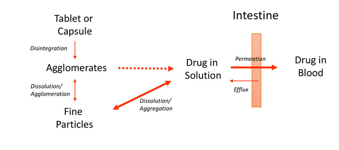 Aqueous solubility-enhancing excipient technologies: a review of recent developments