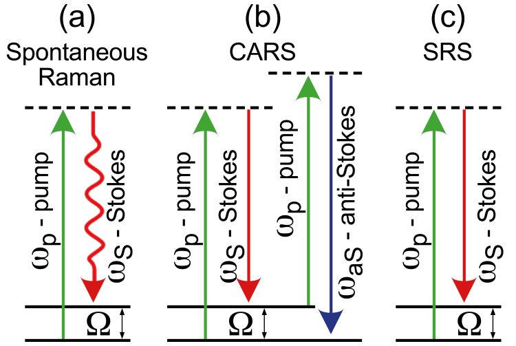 Figure 1: Scheme of the different Raman processes.