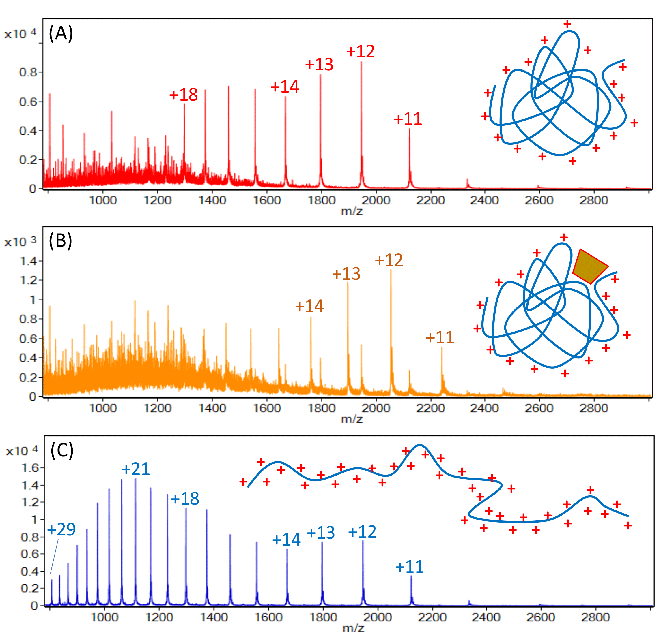 LC MS Analysis For The Assessment Of Higher Order Structures Of Proteins