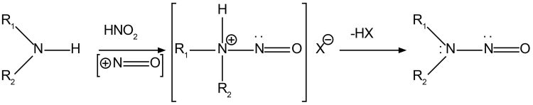 Figure 1: Schematic showing nitrosamine formation.