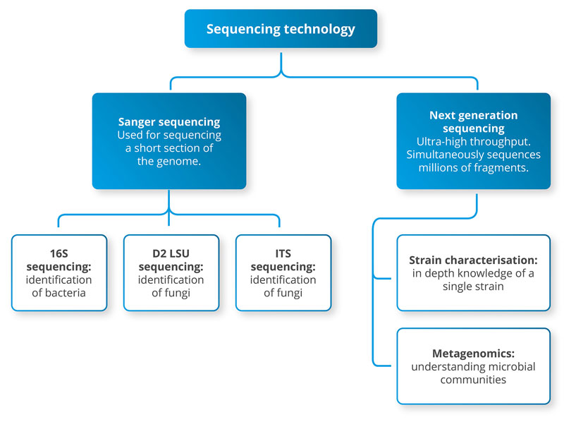 Figure in sequencing article