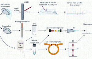 Figure 1: Sample preparation techniques for mass spectrometry based pharmaceutical and metabolite analysis. The three approaches discussed in the paper are outlined: (Top) mass spectrometry imaging from dosed tissue sections, (Middle) liquid chromatography mass spectrometry of tissue extracts or plasma/serum samples, (Bottom) gas chromatography mass spectrometry of plasma/serum samples