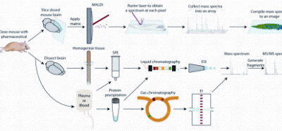 Figure 1: Sample preparation techniques for mass spectrometry based pharmaceutical and metabolite analysis. The three approaches discussed in the paper are outlined: (Top) mass spectrometry imaging from dosed tissue sections, (Middle) liquid chromatography mass spectrometry of tissue extracts or plasma/serum samples, (Bottom) gas chromatography mass spectrometry of plasma/serum samples