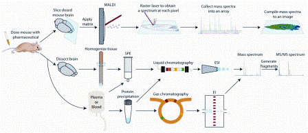 Figure 1: Sample preparation techniques for mass spectrometry based pharmaceutical and metabolite analysis. The three approaches discussed in the paper are outlined: (Top) mass spectrometry imaging from dosed tissue sections, (Middle) liquid chromatography mass spectrometry of tissue extracts or plasma/serum samples, (Bottom) gas chromatography mass spectrometry of plasma/serum samples