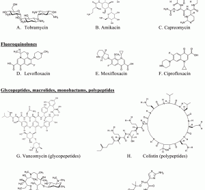 Figure 1 Examples of chemical structures of antibodies for targeted pulmonary inhalation aerosol